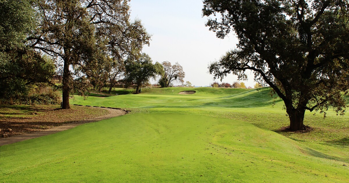 Golf Tournament Background